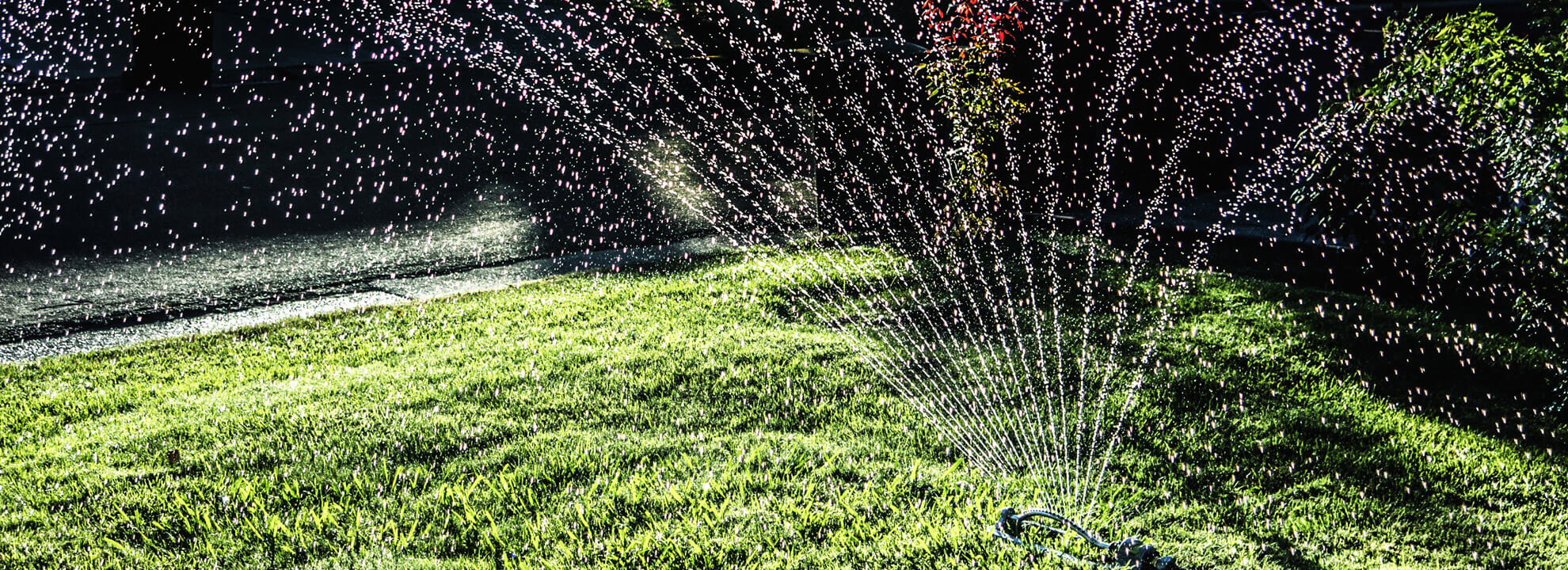 Parce que l’eau est vitale pour nous tous, préservons là !